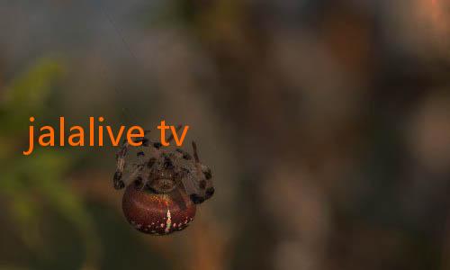 jalalive tv apk-Mengenal Lebih Dekat Jalalive RCTI: Inovasi Baru untuk Penggemar Acara TV Indonesia